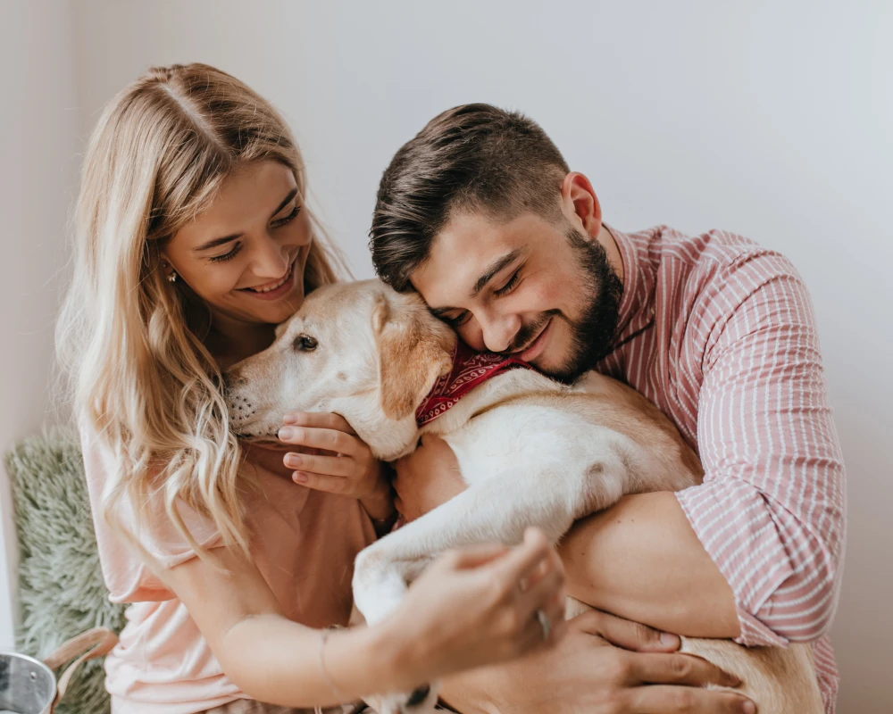 smart automatic pet feeder